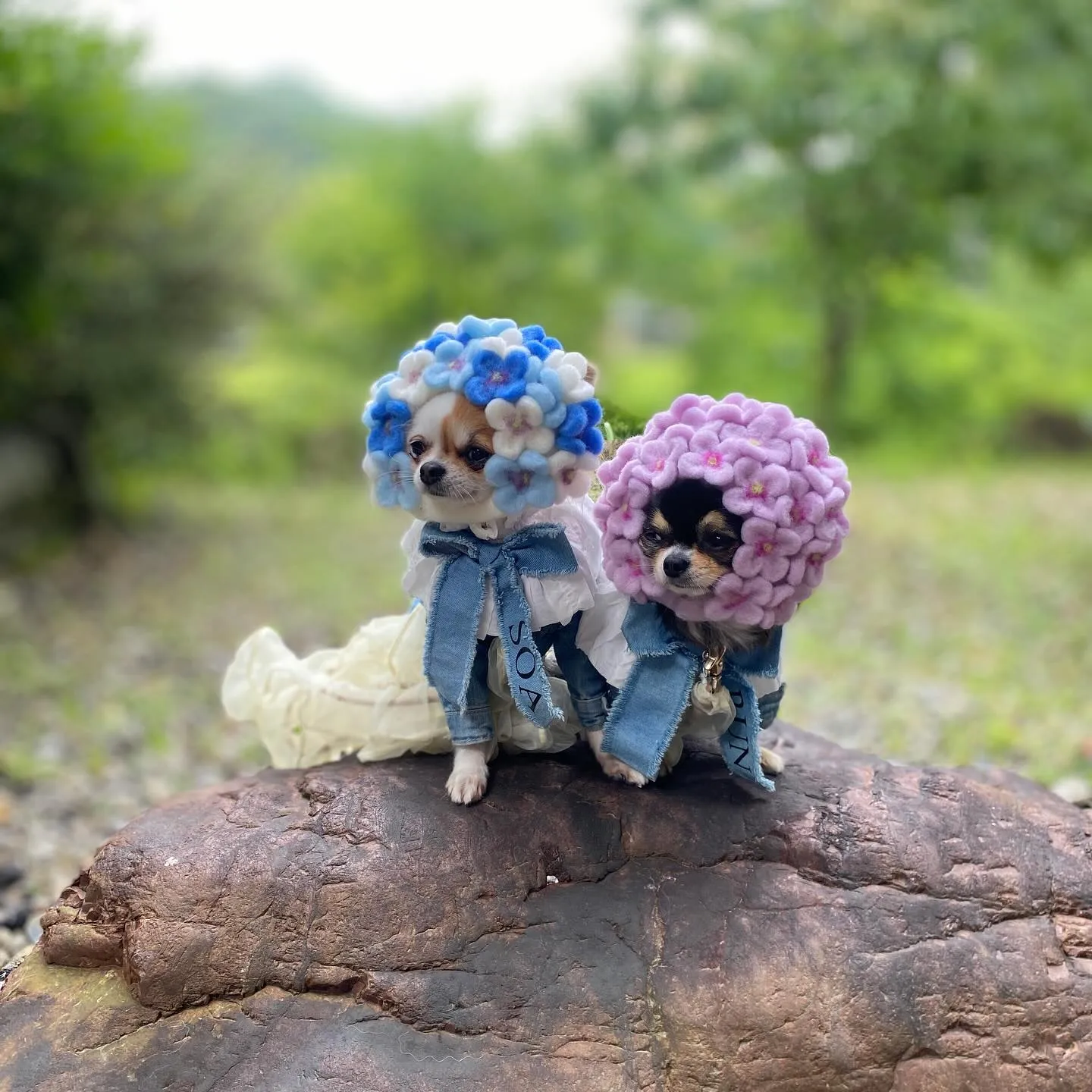 ＼お花と香りに癒されて🌿／