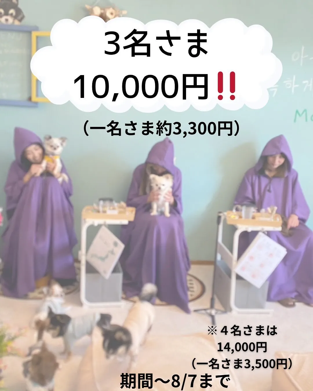 🌿【イヨルチヨルキャンペーン開催中】🌿