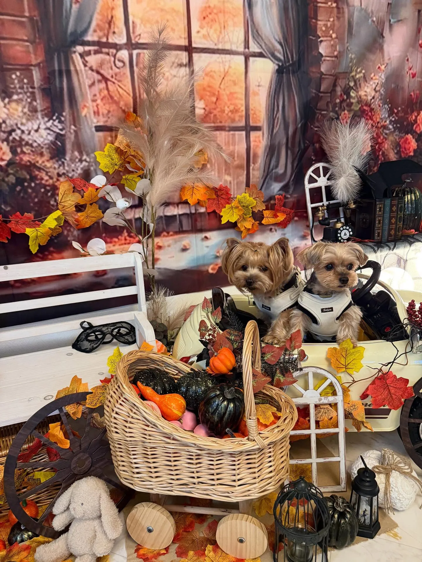 寒さが深まってきましたね🍂