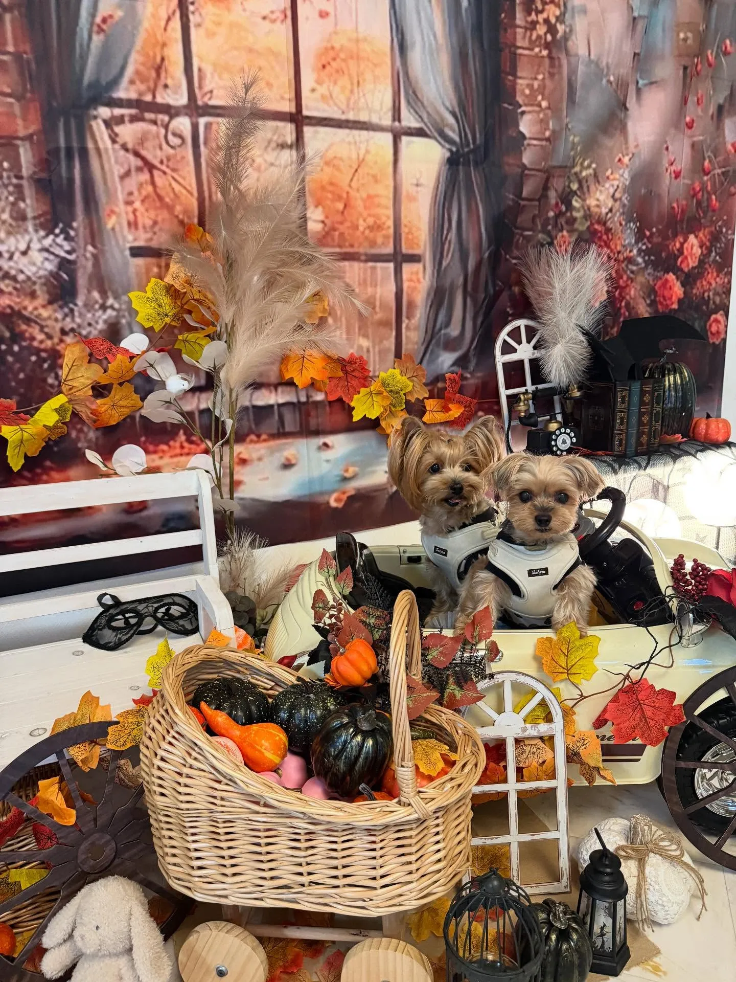 寒さが深まってきましたね🍂