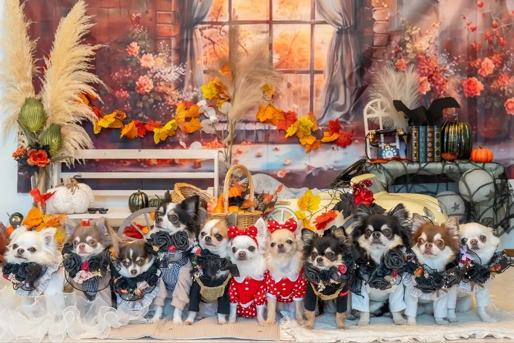 わん友と一緒に、よもぎ蒸しタイム🫶