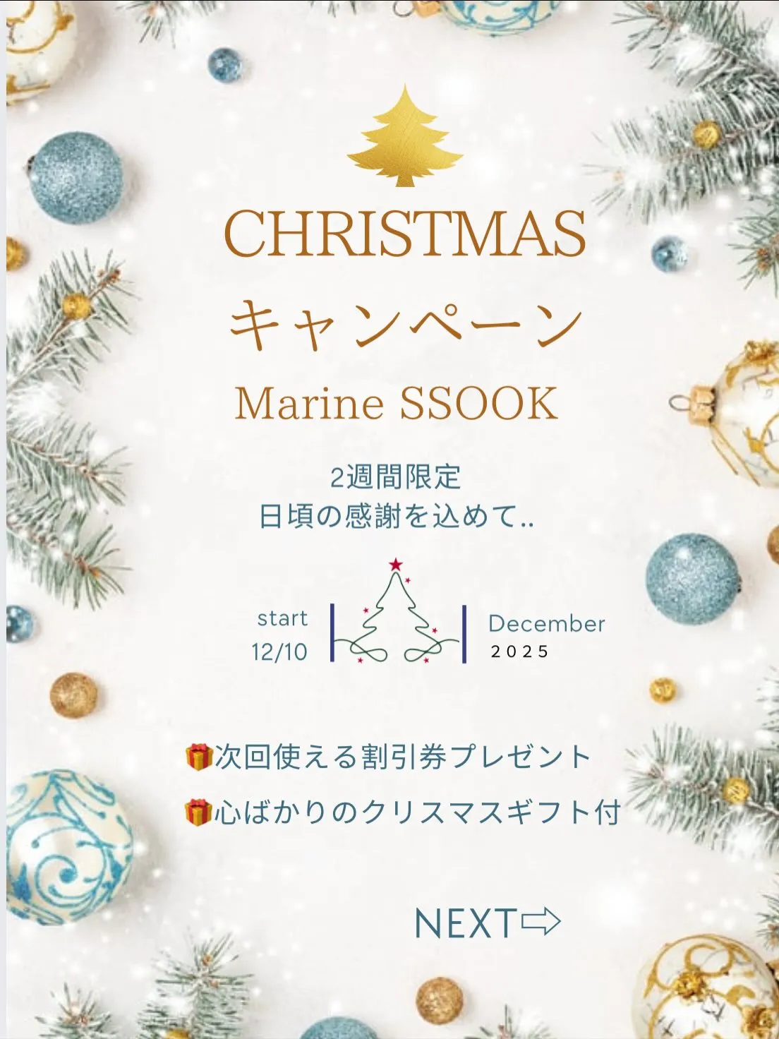 🎄 Marine SSOOK クリスマスキャンペーン 🎁