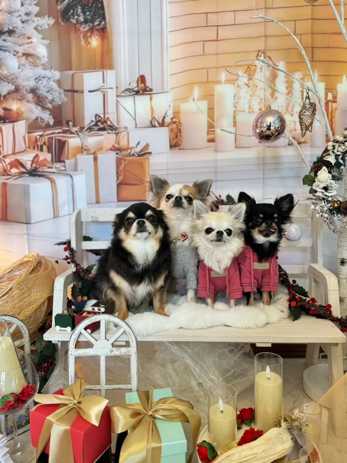 クリスマスブースの