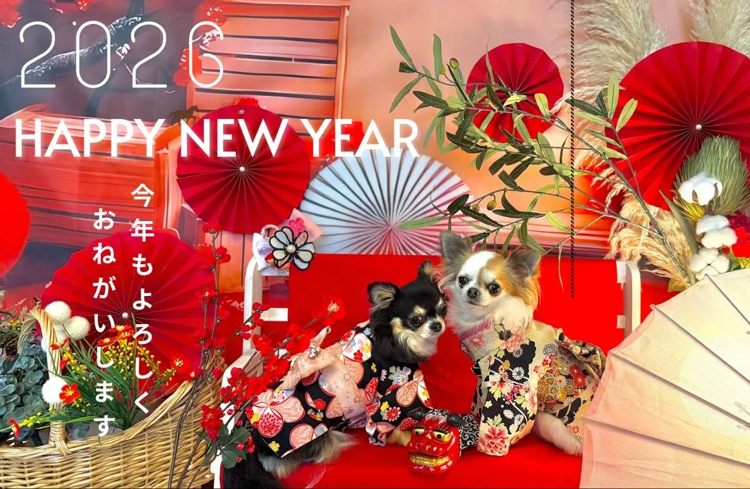 🎍✨𝟐𝟎𝟐𝟔 𝐇𝐀𝐏𝐏𝐘 𝐍𝐄𝐖 𝐘𝐄𝐀𝐑✨🎍