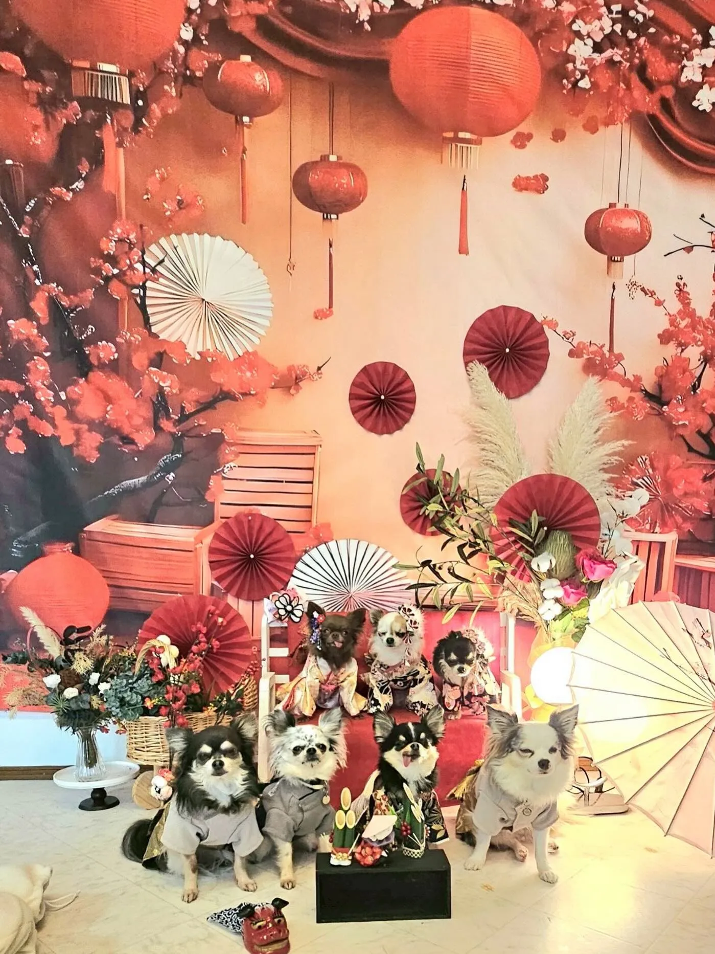 可愛い着物、袴で皆んなお利口さん☺️