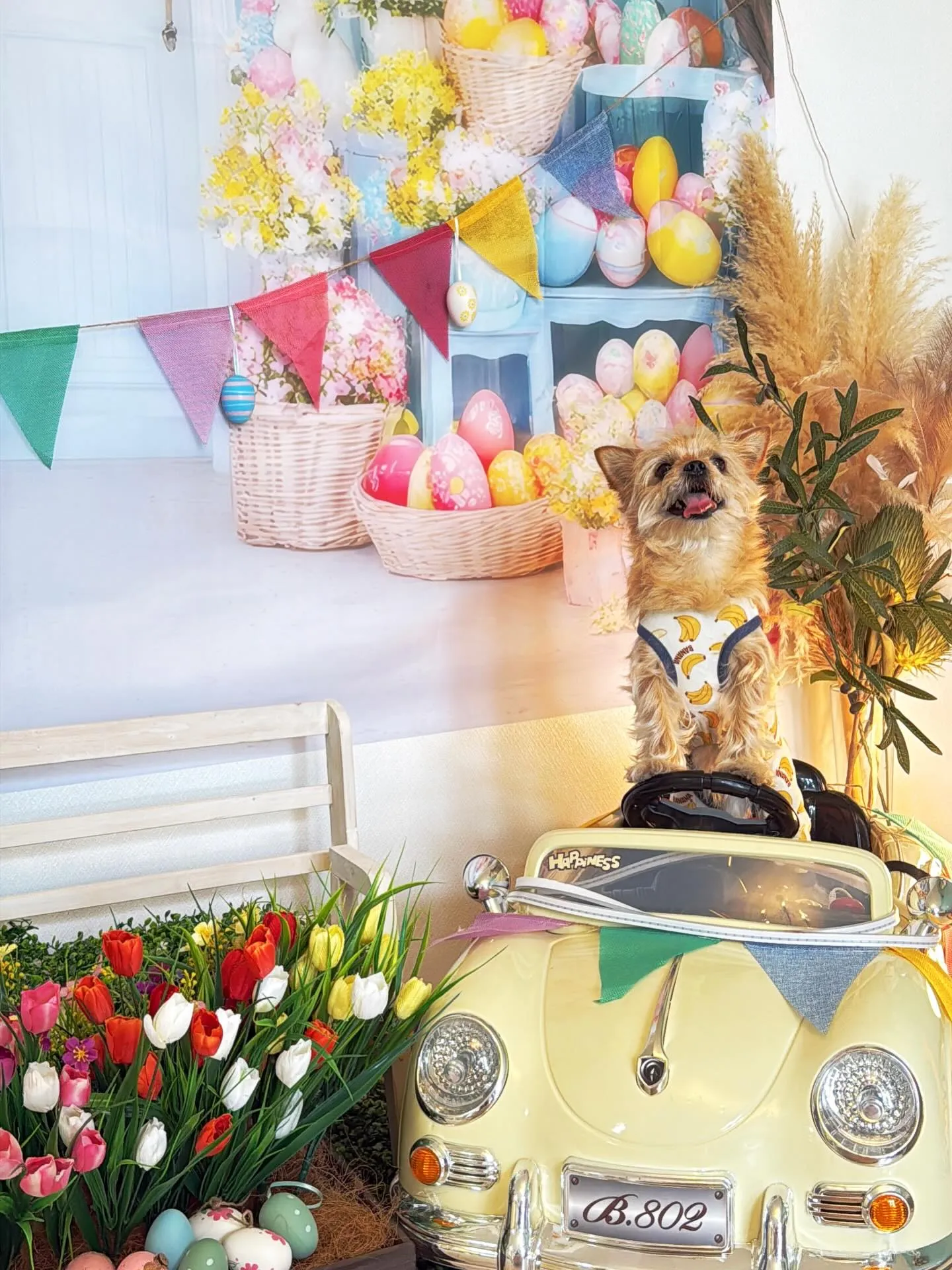 🥚🌷Easter🌷🥚