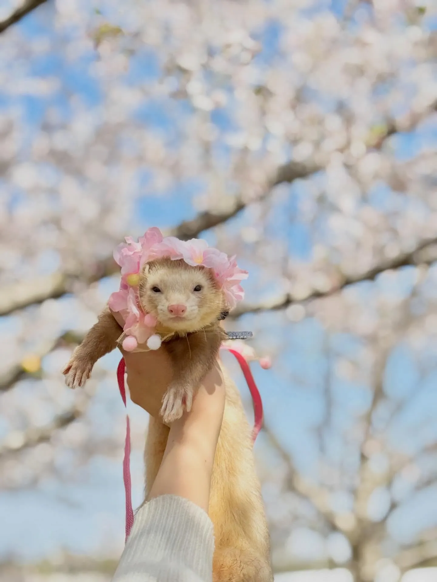 初めての公園へ🌸