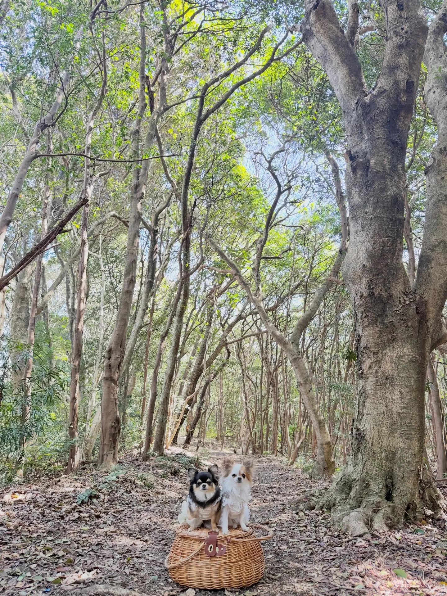 初めての公園へ🌸