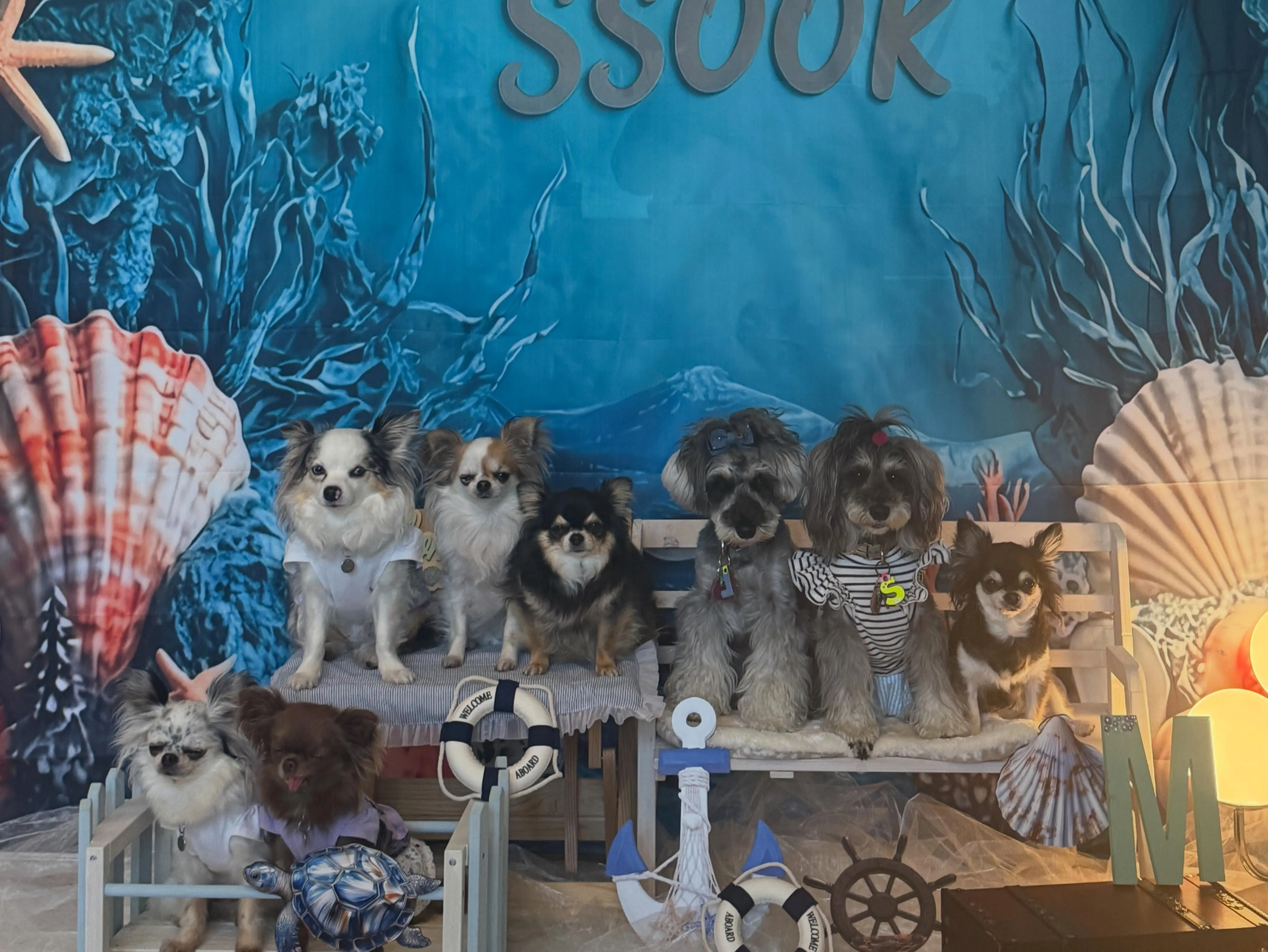 Marine SSOOKが、