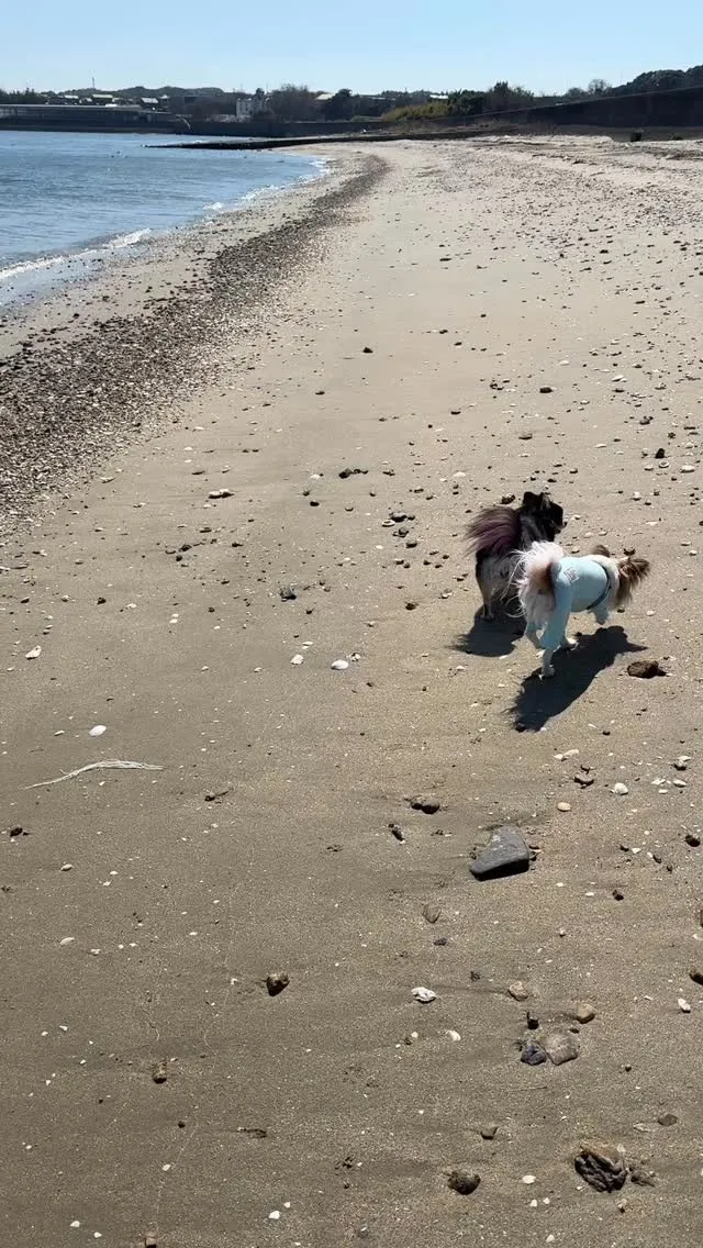 🌊海でリフレッシュ