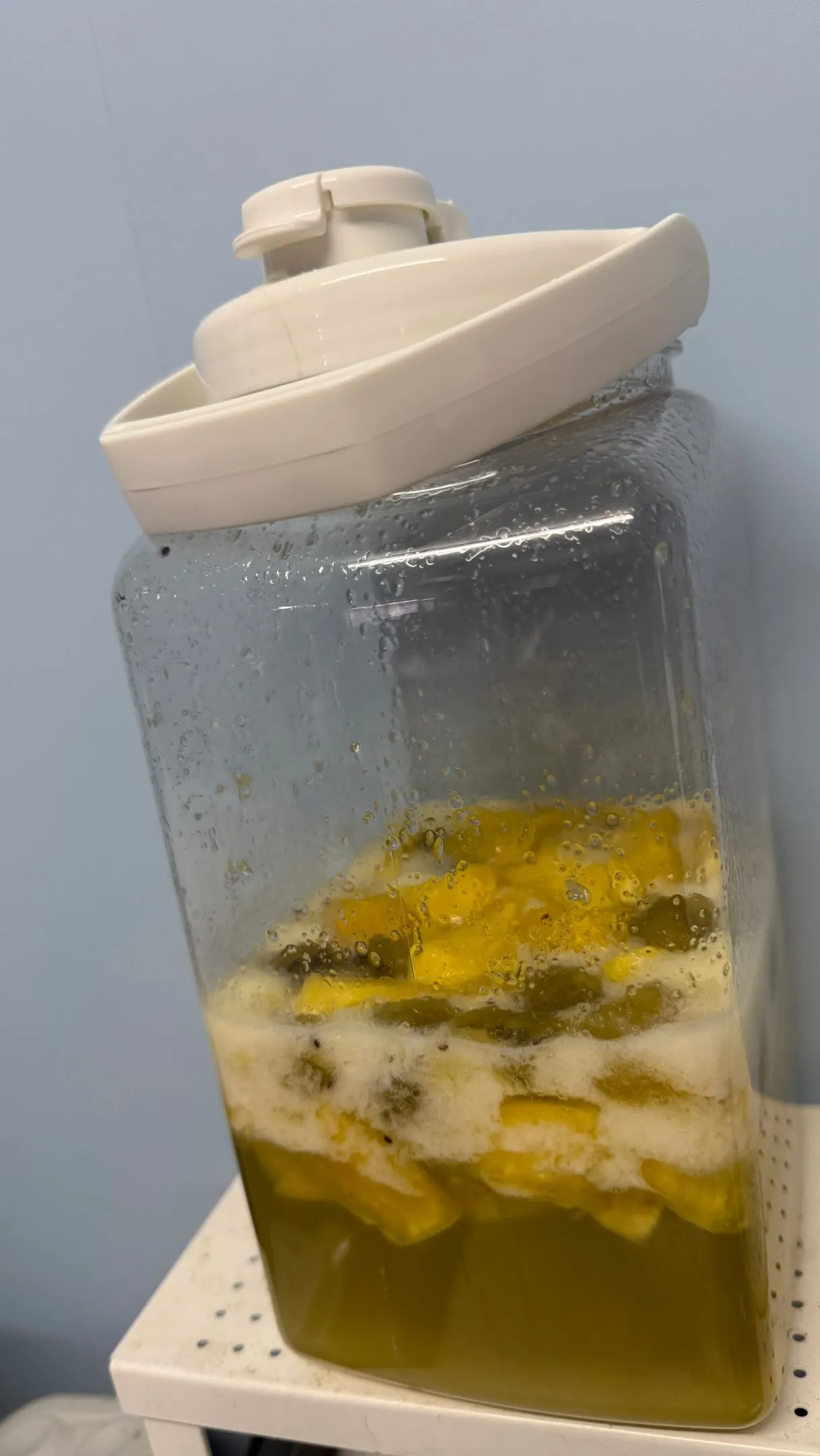 🍍🥝【パイナップル×キウイの発酵ドリンク仕込みました】🥝🍍